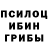 Псилоцибиновые грибы Psilocybe Lady_in_green