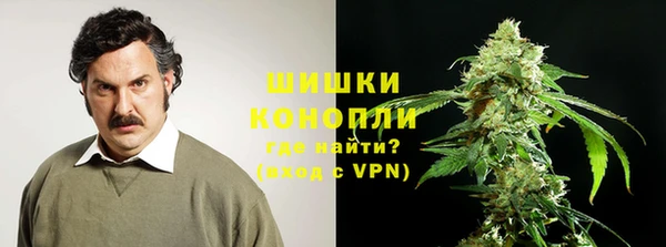 прущие грибы Абинск