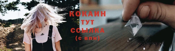 прущие грибы Абинск