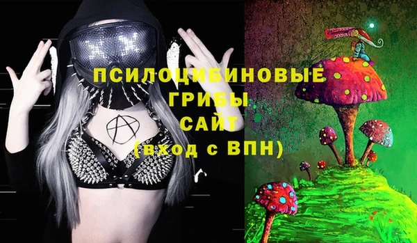 прущие грибы Абинск