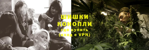 прущие грибы Абинск