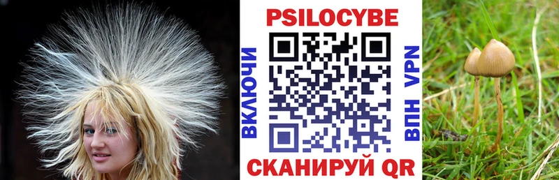Псилоцибиновые грибы MAGIC MUSHROOMS  Сурск 